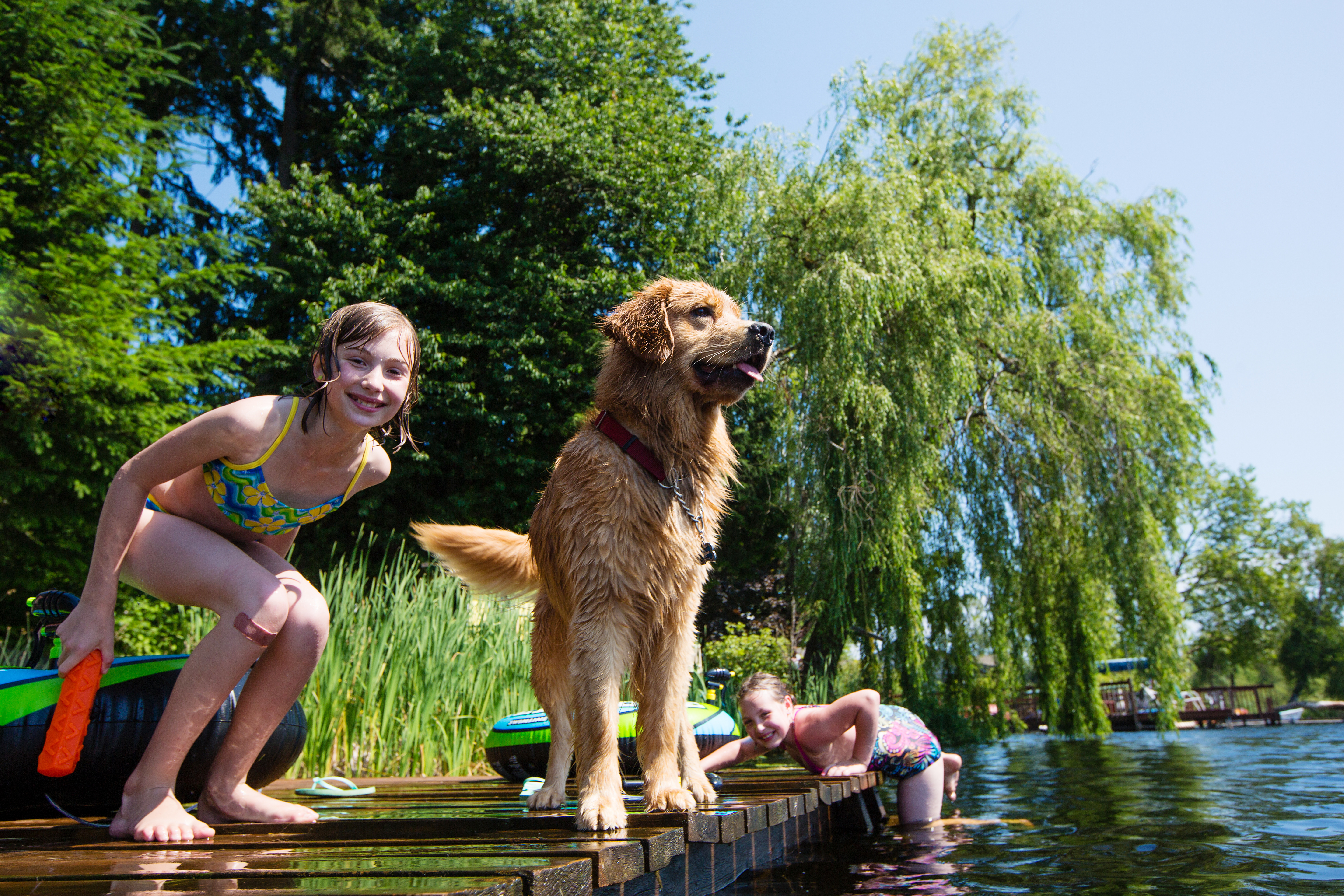 kids & dog on dock